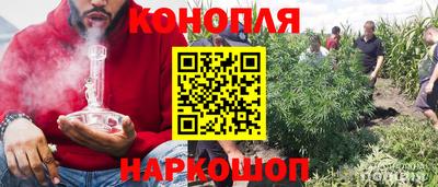PSILOCYBIN Гай
