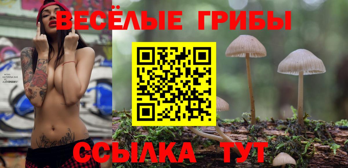 Псилоцибиновые грибы MAGIC MUSHROOMS  Вход с VPN  Россия 