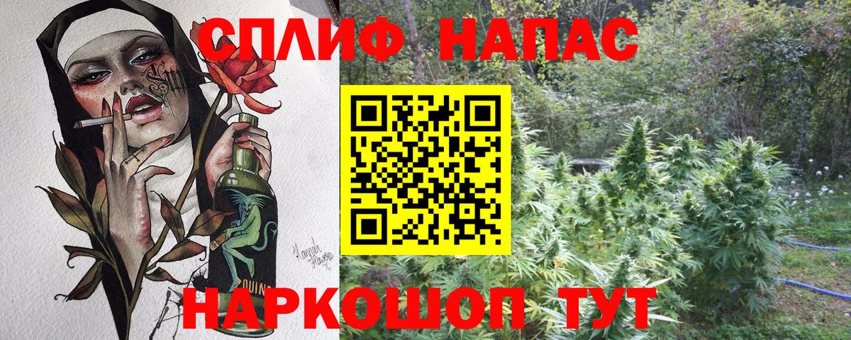Бошки Шишки сатива Россия